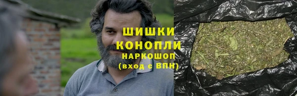 сатива Касимов