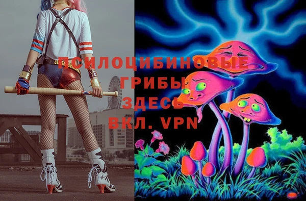 гашиш Карпинск