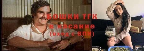 сатива Касимов