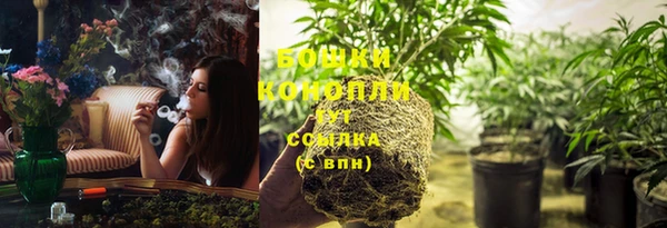 сатива Касимов