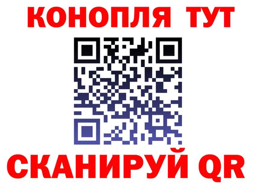 Alfa_PVP СК зеркало площадка мега Каменногорск